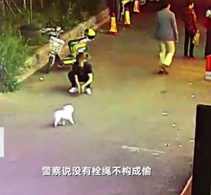 老人爱犬被误当流浪犬抱走报警后得知：不栓绳就是流浪狗！